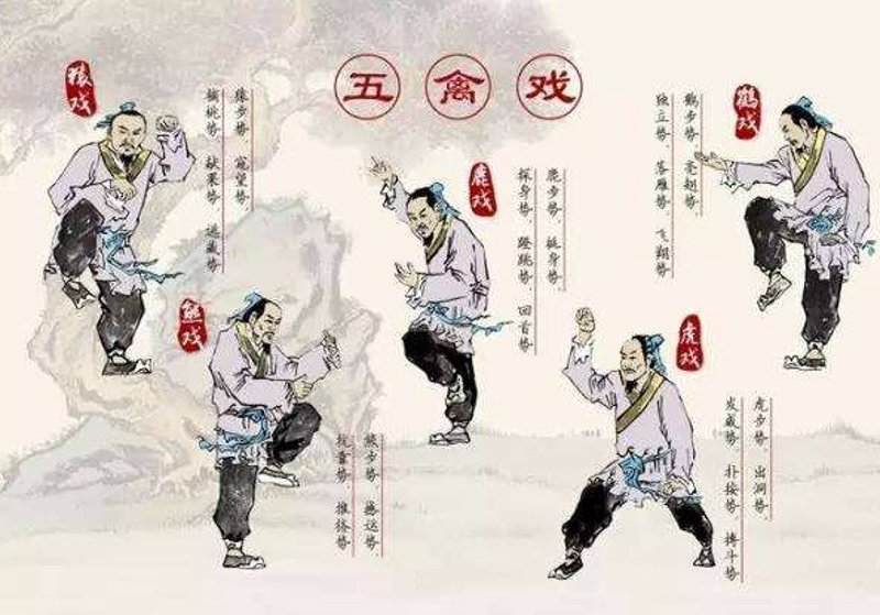 五禽戏教学视频：传统养生新热潮