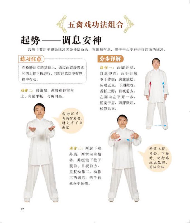 体验五禽戏分解动作的魅力与益处