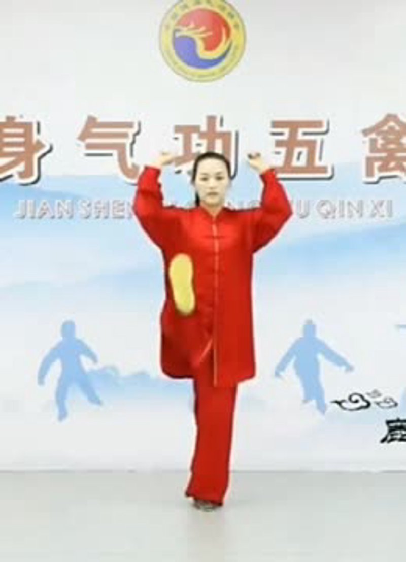 五禽戏引领生活新风尚:健身气功的新篇章