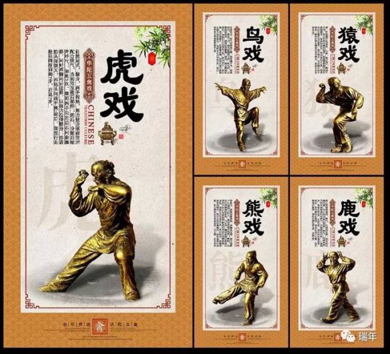五禽戏入门:轻松教您掌握古人的养生秘籍